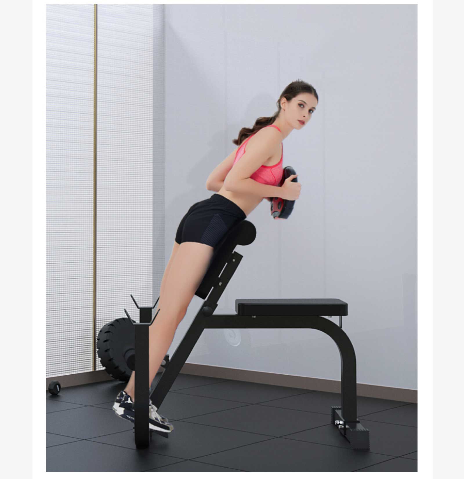 Rack de formation de biceps multifonctionnels