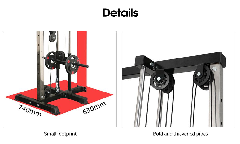 Murfonctionnel Mur Flying Bird Pilan de formation complet