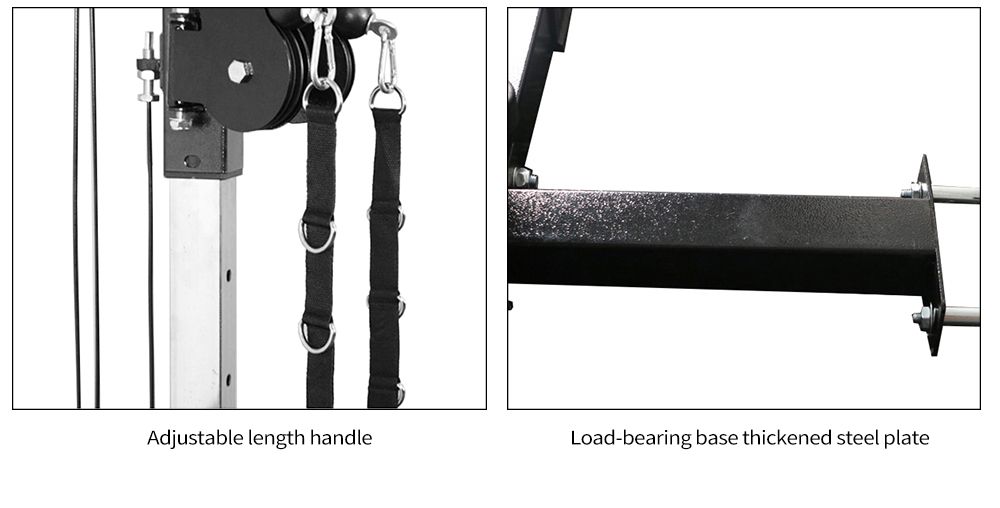 Murfonctionnel Mur Flying Bird Pilan de formation complet