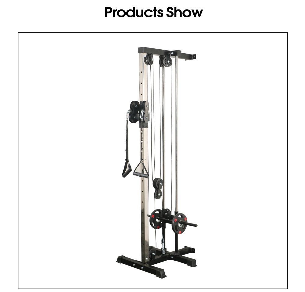 Murfonctionnel Mur Flying Bird Pilan de formation complet