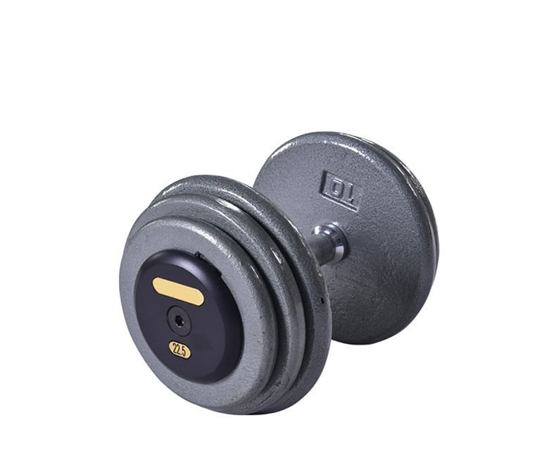 Haltère en fonte de poids lourd