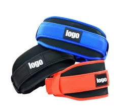 Ceinture d&#039;entraînement de la courroie de levage en nylon personnalisée