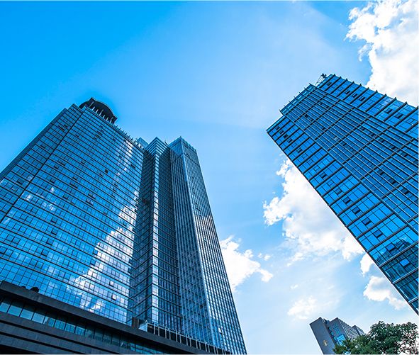 À propos de l'entreprise