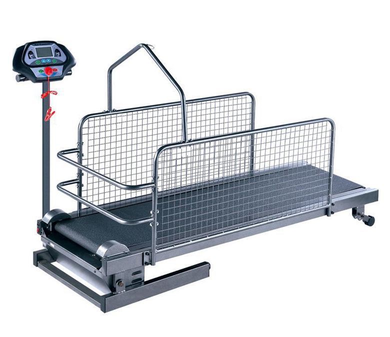 Tapis roulant pour chiens de compagnie pour un usage domestique