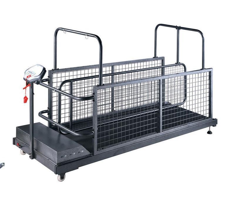 Tapis roulant pour chiens de compagnie pour un usage domestique